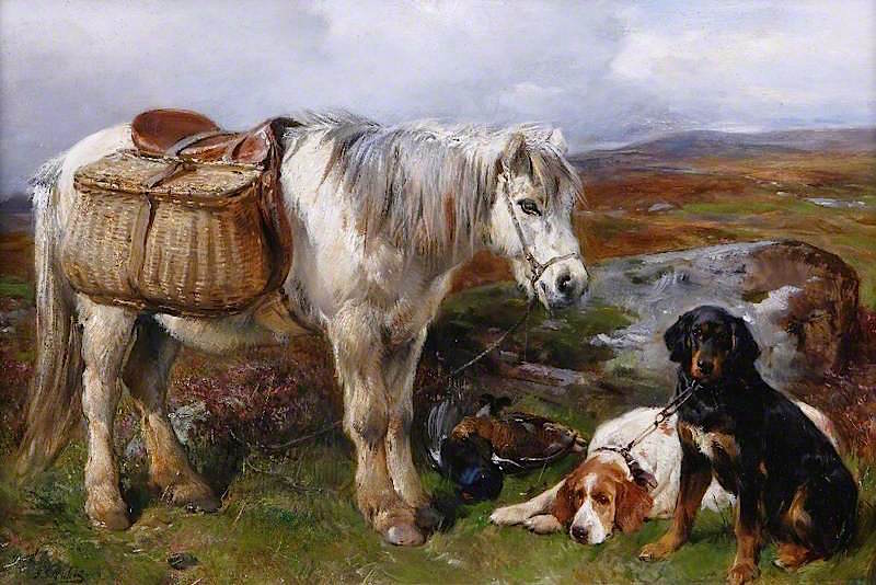 Highland Pony and Dogs, vintage artwork by John Sargent Noble, 12x8" (A4) Poster