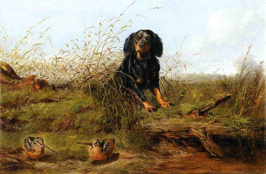 Cocker Spaniel and Woodcock, vintage artwork by Arthur Fitzwilliam Tait, A3 (16x12") Poster Print