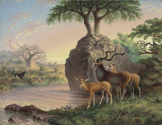 Koodoos, Luisi River, Zambesi Valley, vintage artwork by Thomas Baines, A3 (16x12") Poster Print