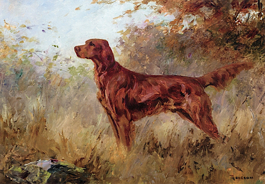 Setter by Percival Rousseau,A3(16x12")Poster