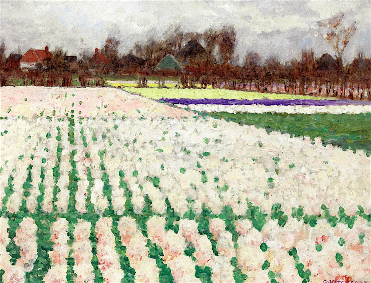 Hyacinth Fields, vintage artwork by George Hitchcock, 12x8" (A4) Poster