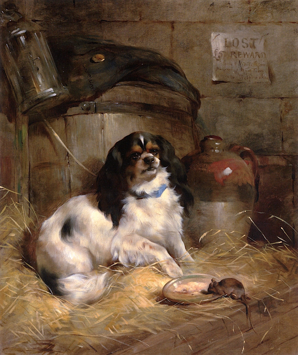 A Cavalier King Charles Spaniel, vintage artwork by Edwin Douglas, 12x8" (A4) Poster