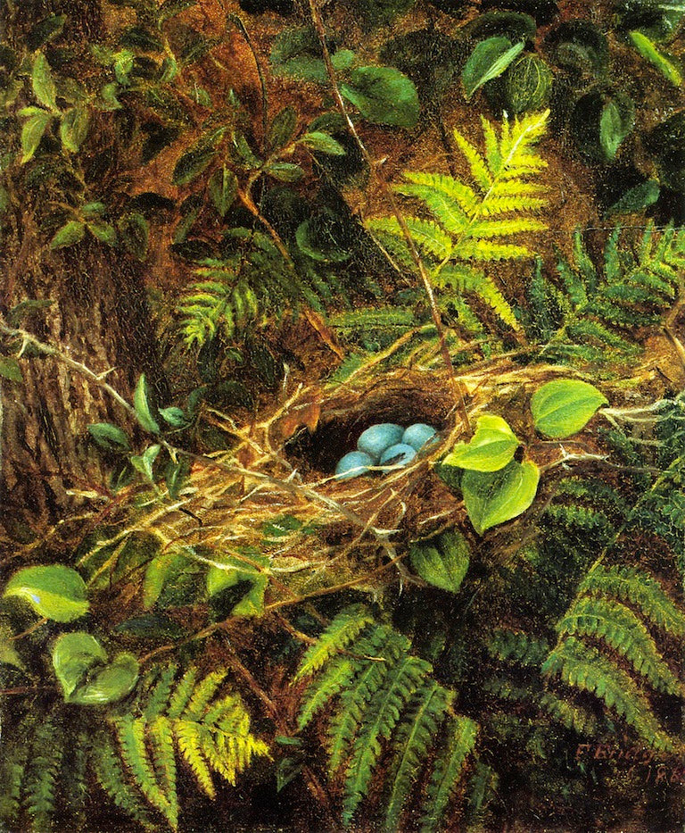 Still LIfe with Robin's Nest, vintage artwork by Fidelia Bridges, 12x8" (A4) Poster