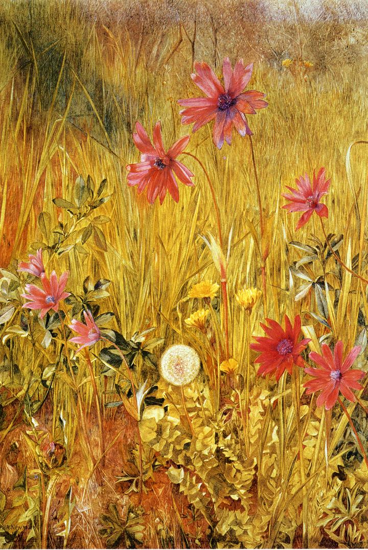 Wildflowers, vintage artwork by Henry Roderick Newman, 12x8" (A4) Poster