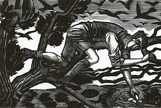Boy Birdnesting by Eric Ravilious,16x12(A3) Poster