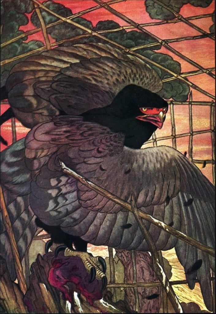 Aesop Fables, vintage artwork by Henry Edward Detmold, 12x8" (A4) Poster