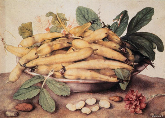 Still Life with Beans, vintage artwork by Giovanna Garzoni, 12x8" (A4) Poster