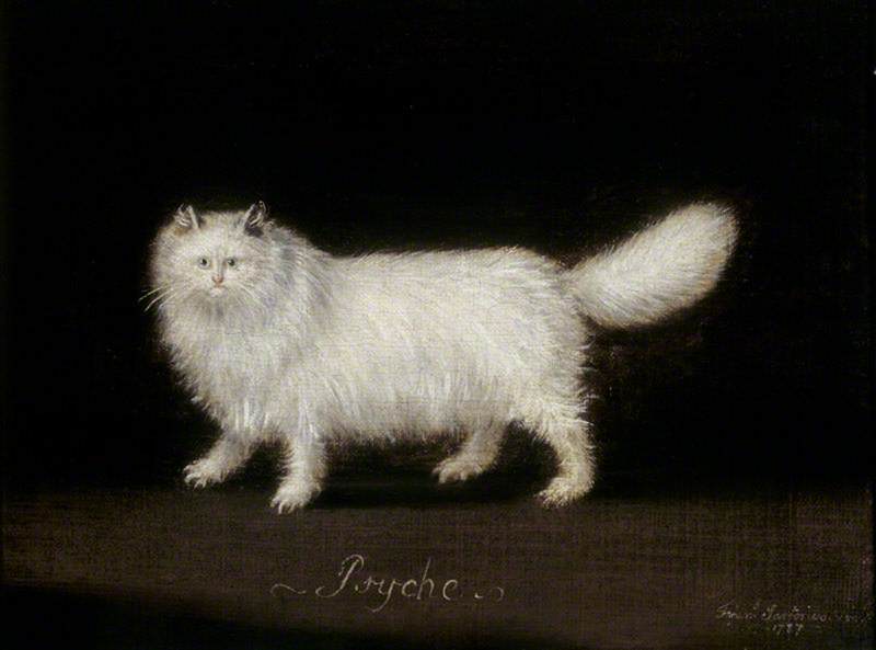 Psyche, a White Persian Cat, vintage artwork by Francis Sartorius, 12x8" (A4) Poster
