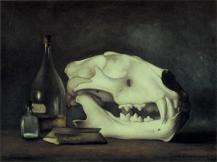 Still life with tiger skull, two bottles and booklets, vintage artwork by Jan Mankes, 12x8" (A4) Poster