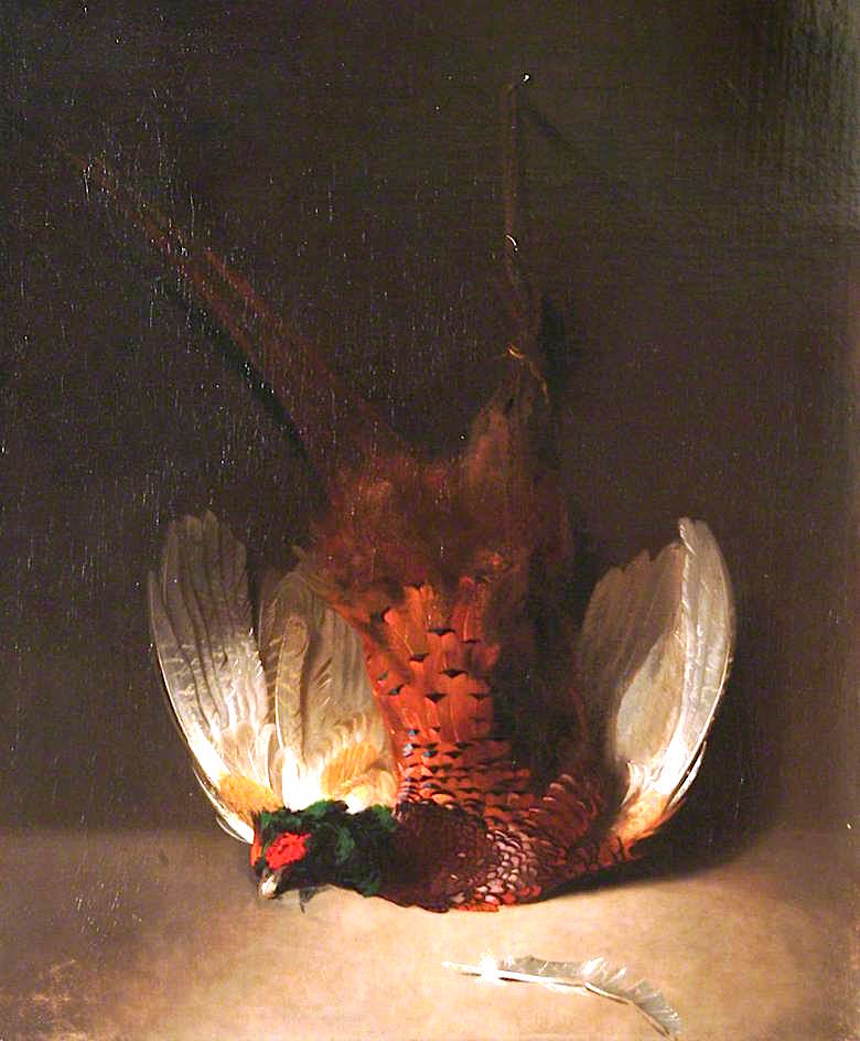 Dead Cock Pheasant, vintage artwork by Stephen Elmer, 12x8" (A4) Poster