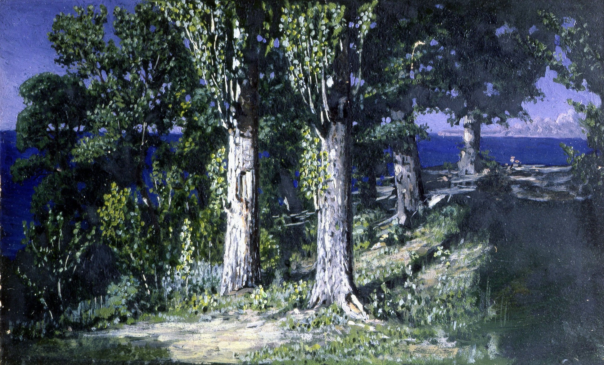 Cypresses in Crimea, vintage artwork by Arkhip Ivanovich Kuindzhi, 12x8" (A4) Poster