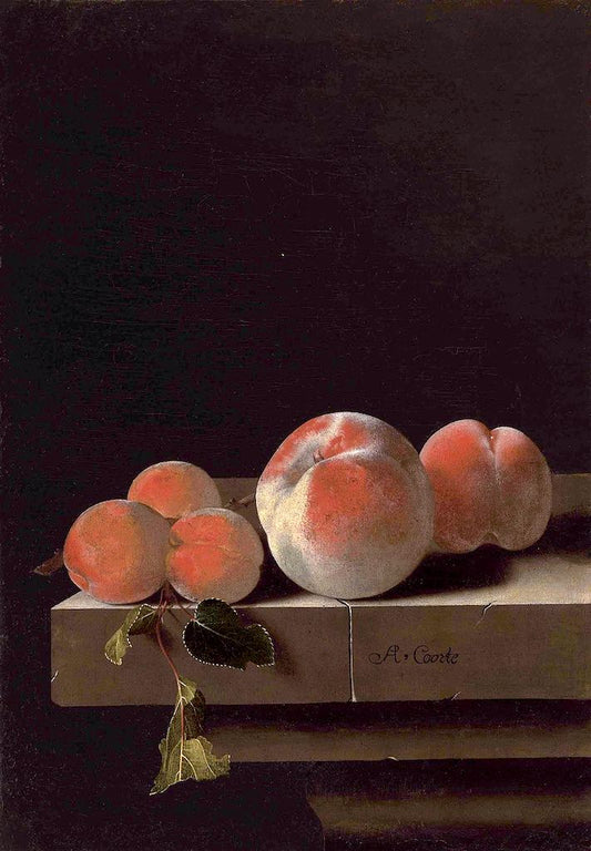 Peaches and Apricots on a Stone Ledge, vintage artwork by Adriaen Coorte, 12x8" (A4) Poster