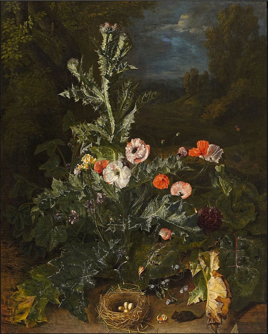 Still Life with Thistle and Nest, vintage artwork by Peeter Snyers, 12x8" (A4) Poster
