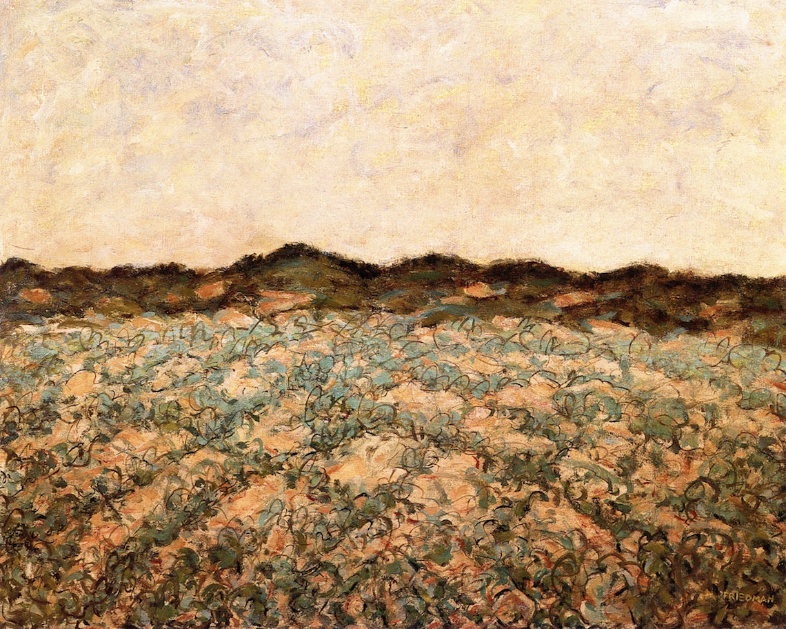 Sewererd, Graded and Curbed by Arnold Friedman,16x12(A3) Poster