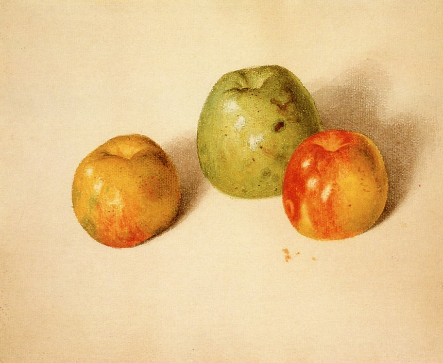 Estudio de perones, vintage artwork by Jose María Velasco, 12x8" (A4) Poster