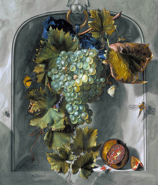 Grapes in a Niche, vintage artwork by Matthijs Naiveu, 12x8" (A4) Poster