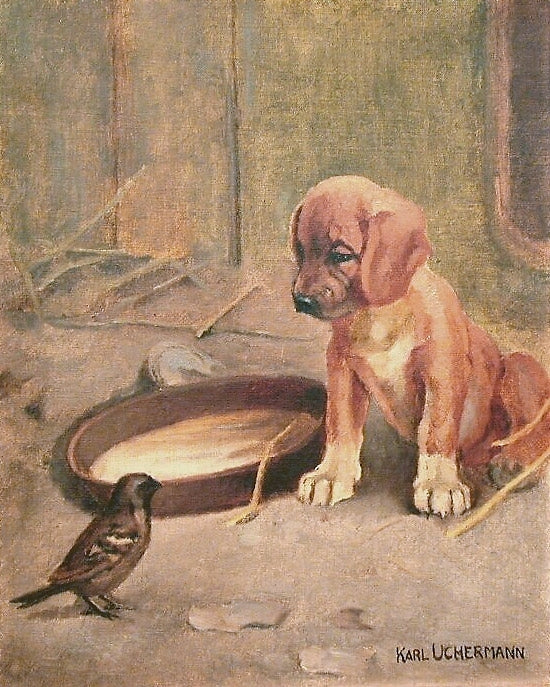 Puppy and Sparrow, vintage artwork by Karl Kristian Uchermann, 12x8" (A4) Poster