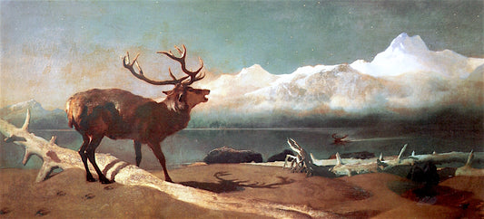 Coming Events Cast Their Shadow before Them, vintage artwork by Sir Edwin Landseer, A3 (16x12") Poster Print