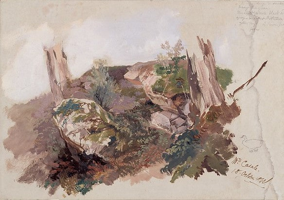 Study of Rocks, Shrubs, and Tree Trunks at Monte Casale near Sansepolcro, Tuscany, vintage artwork by Edward Lear, A3 (16x12") Poster Print