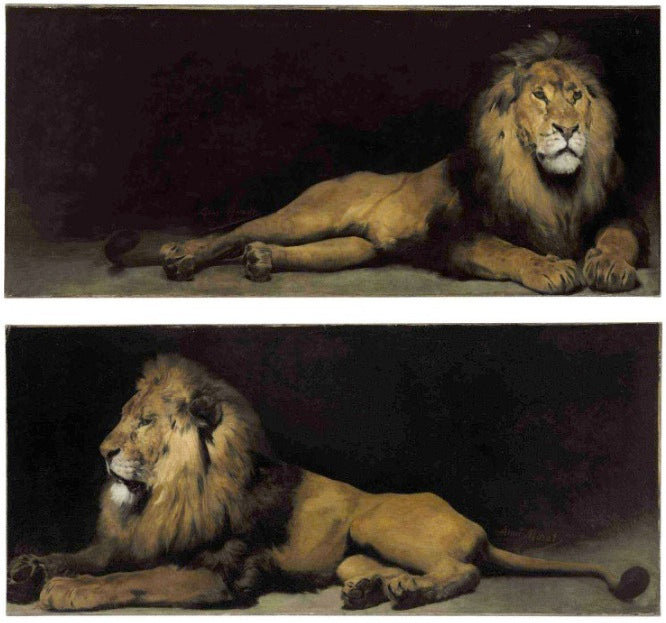 Reclining Lions:  a Pair, vintage artwork by Aime-Nicolas Morot, 12x8" (A4) Poster