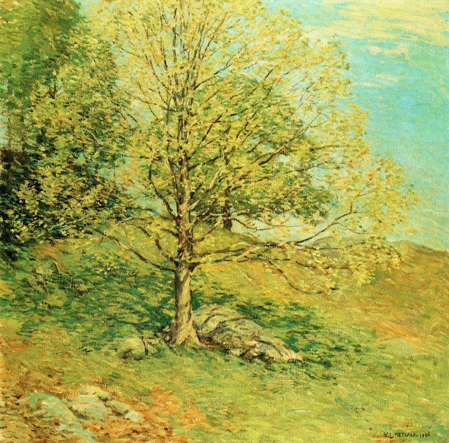 Budding Oak, vintage artwork by Willard Leroy Metcalf, 12x8" (A4) Poster