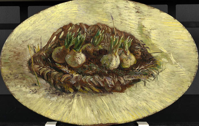 Basket of Hyacinth Bulbs by Vincent van Gogh,A3(16x12