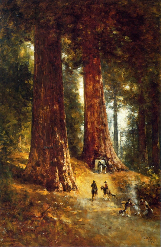 In the Redwoods, vintage artwork by Thomas Hill, 12x8" (A4) Poster