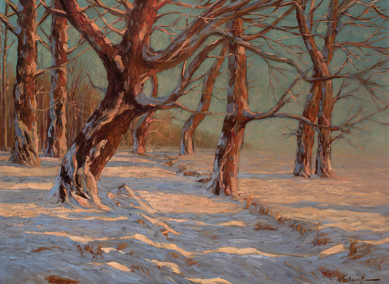 Winter Forest Lit by  the Sun, vintage artwork by Konstantin Westchilov, 12x8" (A4) Poster