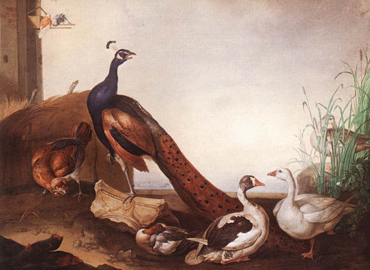 Peacock with Geese and Hen, vintage artwork by Jakob Bogdány, 12x8" (A4) Poster