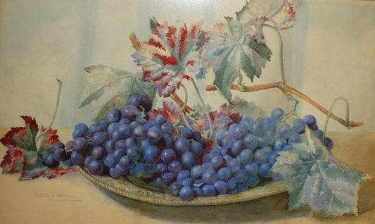 Still Life Study of Black Grapes on a Metal Tray, vintage artwork by Gertrude Elizabeth W. Offord, 12x8" (A4) Poster