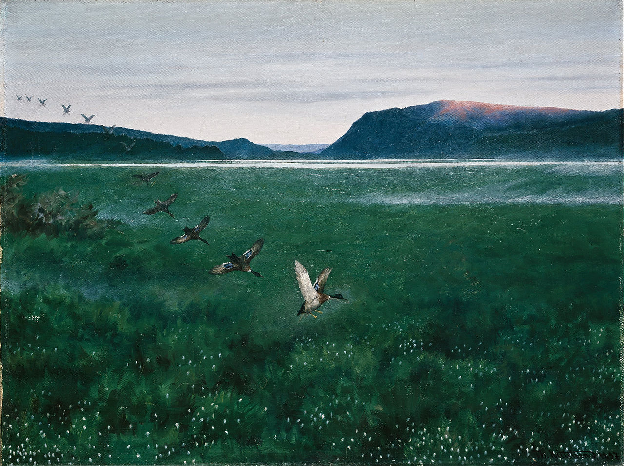 Twelve Wild Ducks, vintage artwork by Theodor Severin Kittelsen, 12x8" (A4) Poster