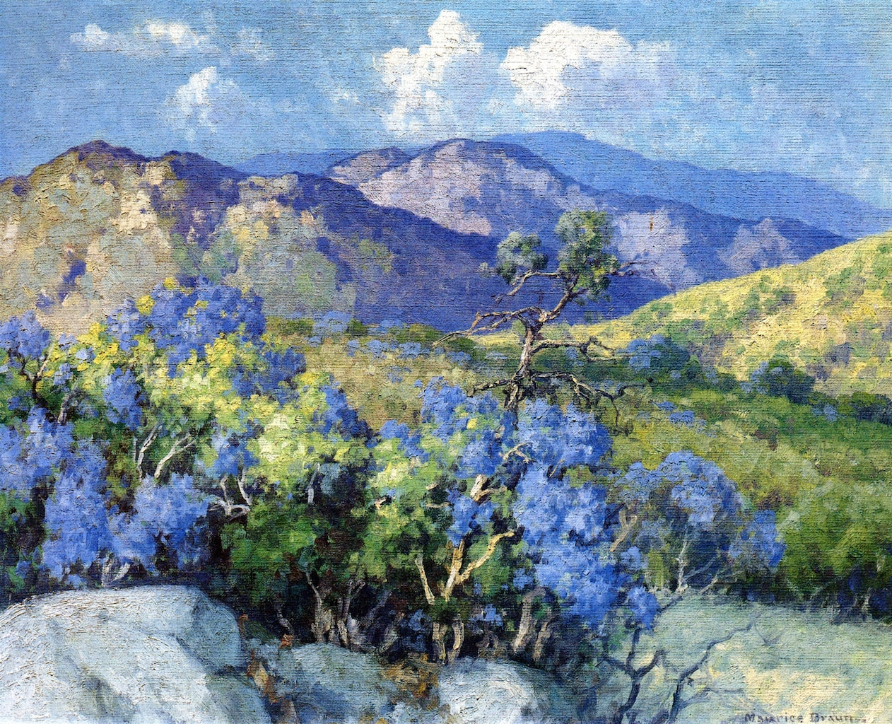 Mountain Lilac - Palomar by Maurice Braun,16x12(A3) Poster