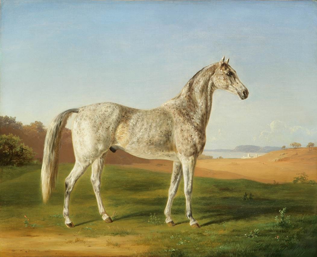 Spotted Arabian, vintage artwork by Henri Delattre, A3 (16x12") Poster Print