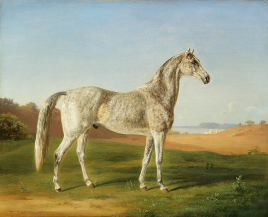 Spotted Arabian, vintage artwork by Henri Delattre, A3 (16x12") Poster Print