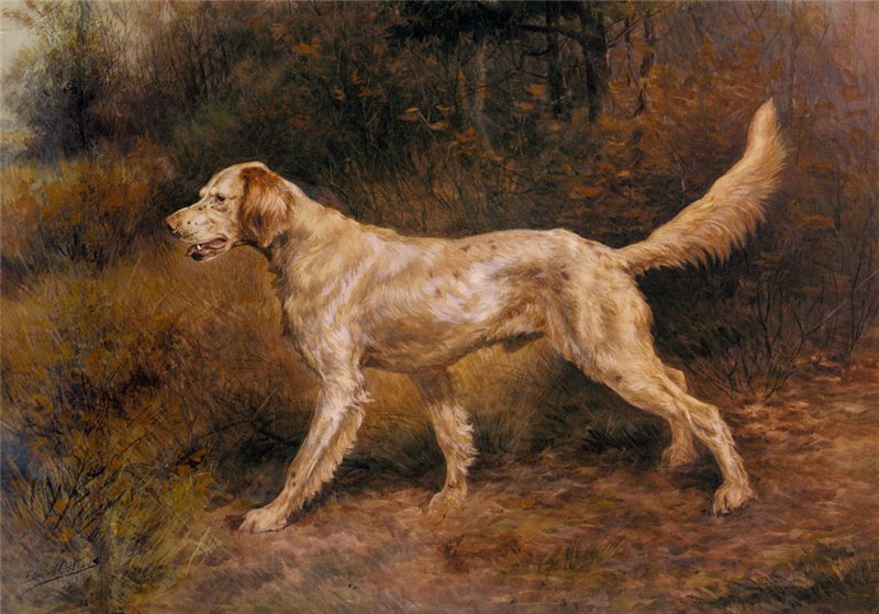 Commissioner, a Champion English Setter, vintage artwork by Edmond H. Osthaus, 12x8" (A4) Poster
