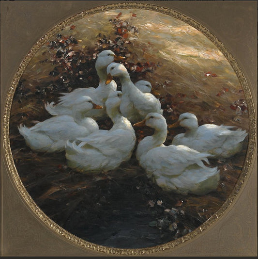 Ducks Resting in the Evening Sun, vintage artwork by Alexander Koester, 12x8" (A4) Poster