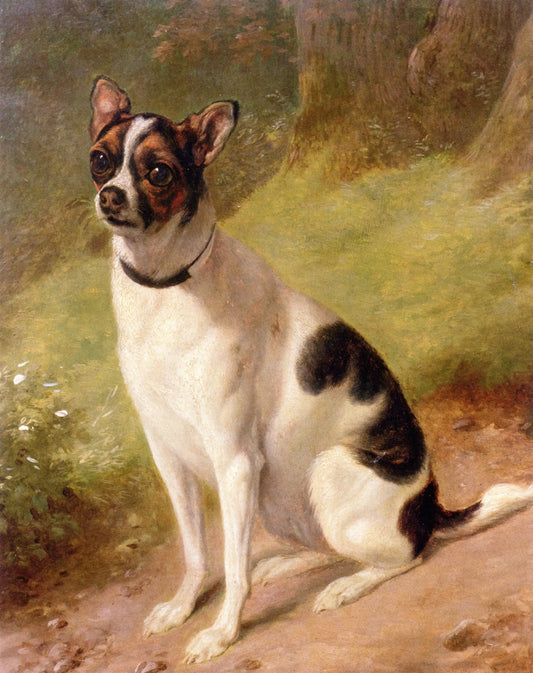 Study of a Small Dog, vintage artwork by Adam Töpffer, 12x8" (A4) Poster