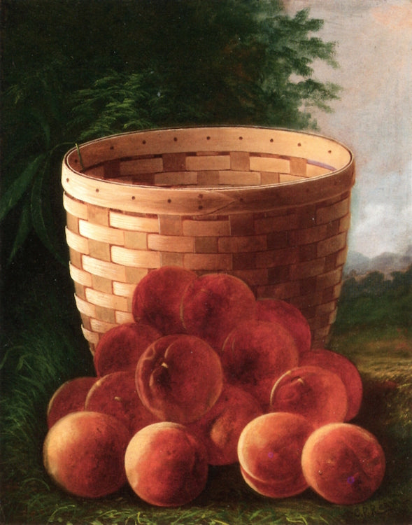 Peaches by  a Basket, vintage artwork by Carducius Plantagenet Ream, 12x8" (A4) Poster
