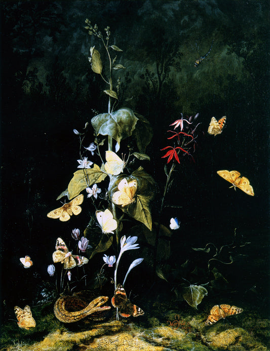 Plants, Frogs, Butterflies and a Snake on a Forest Ground, vintage artwork by Otto van Schrieck, 12x8" (A4) Poster