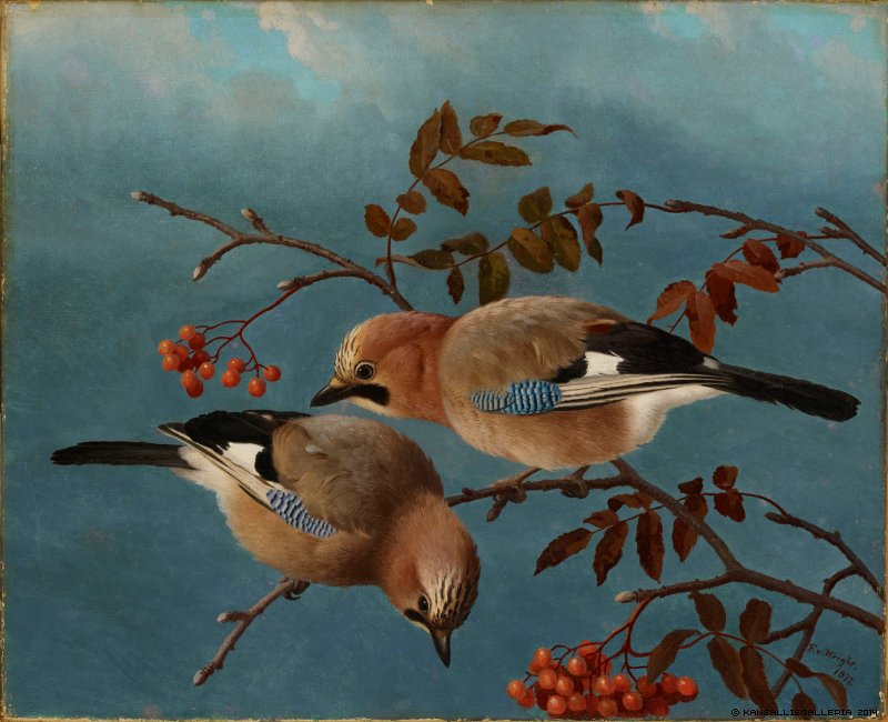 Jays, vintage artwork by Ferdinand von Wright, 12x8" (A4) Poster