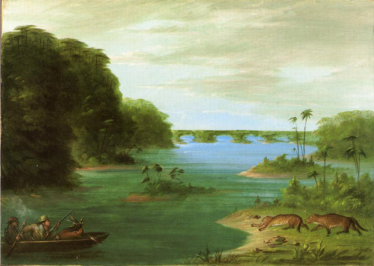 A Jaguar Hunt, Brazil, vintage artwork by George Catlin, A3 (16x12") Poster Print