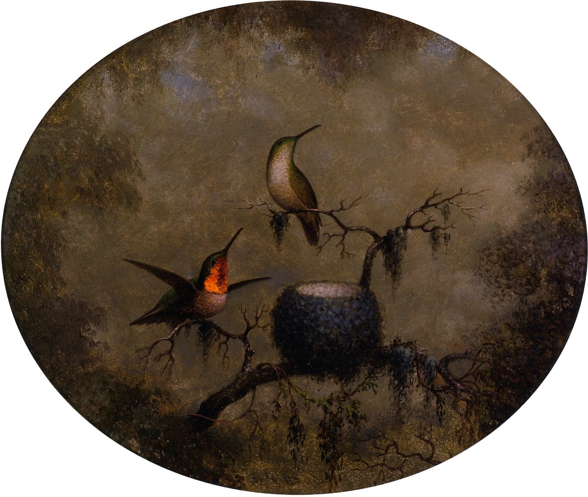 Hummingbirds and Their Nest, vintage artwork by Martin Johnson Heade, A3 (16x12") Poster Print