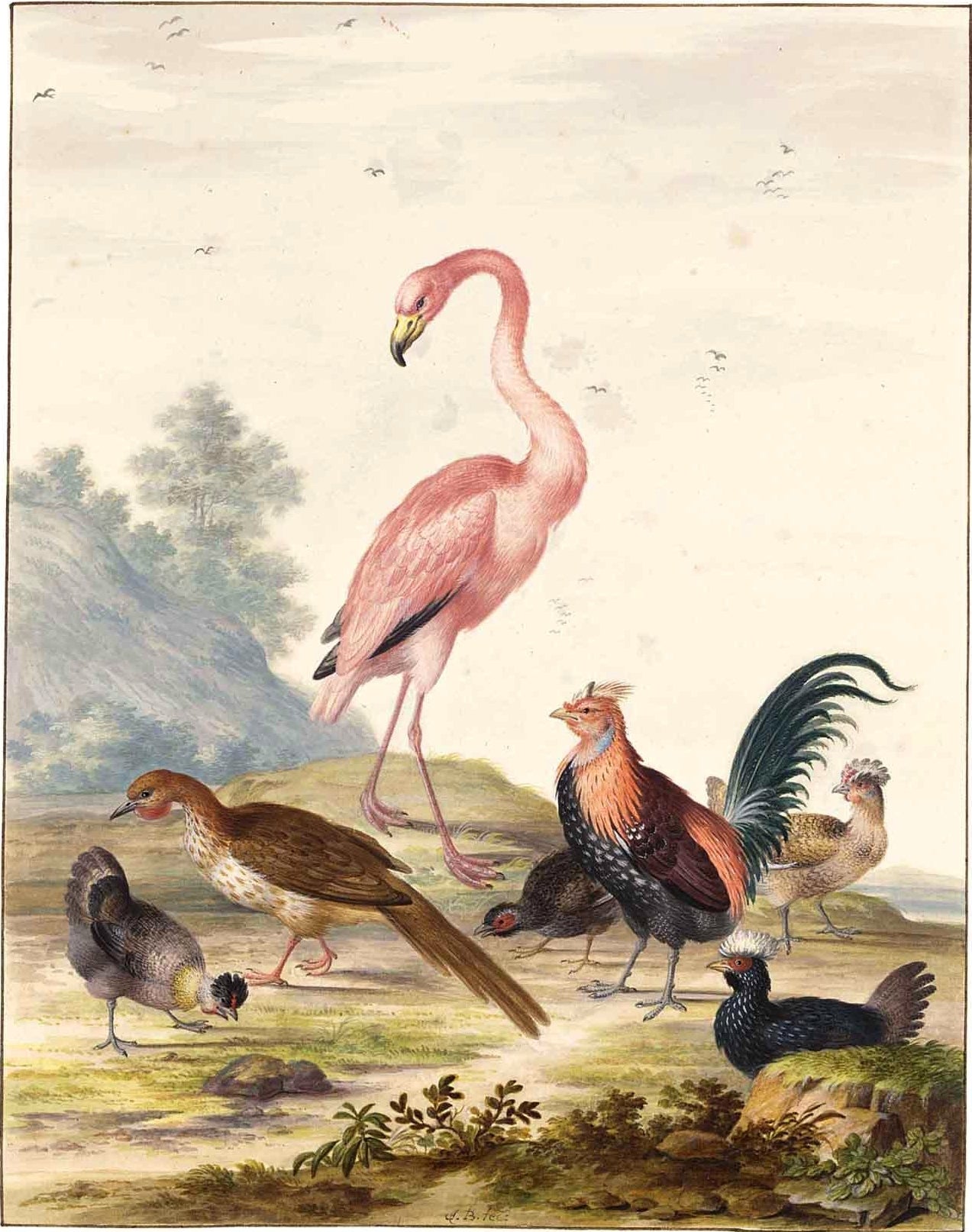 A Flamingo and Exotic Poultry in a Landscape, vintage artwork by Johannes van Bronckhorst, 12x8" (A4) Poster