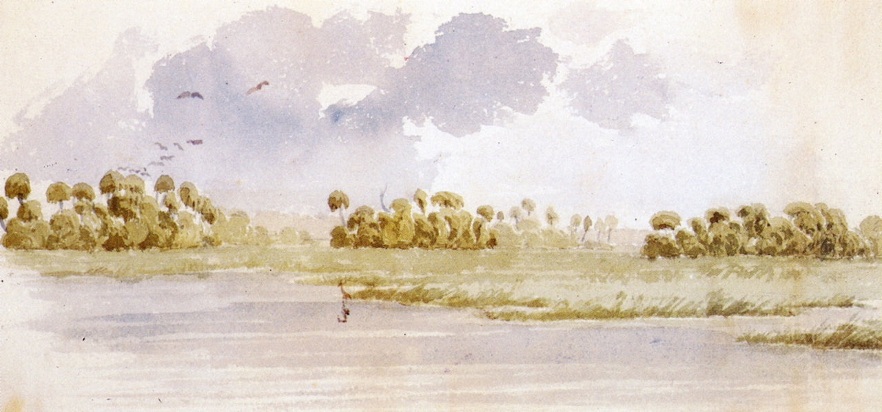 Mouth of the Suwanee River, vintage artwork by Seth Eastman, A3 (16x12") Poster Print