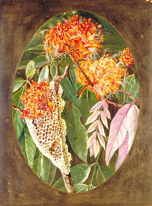 The Asoka, vintage artwork by Marianne North, 12x8" (A4) Poster