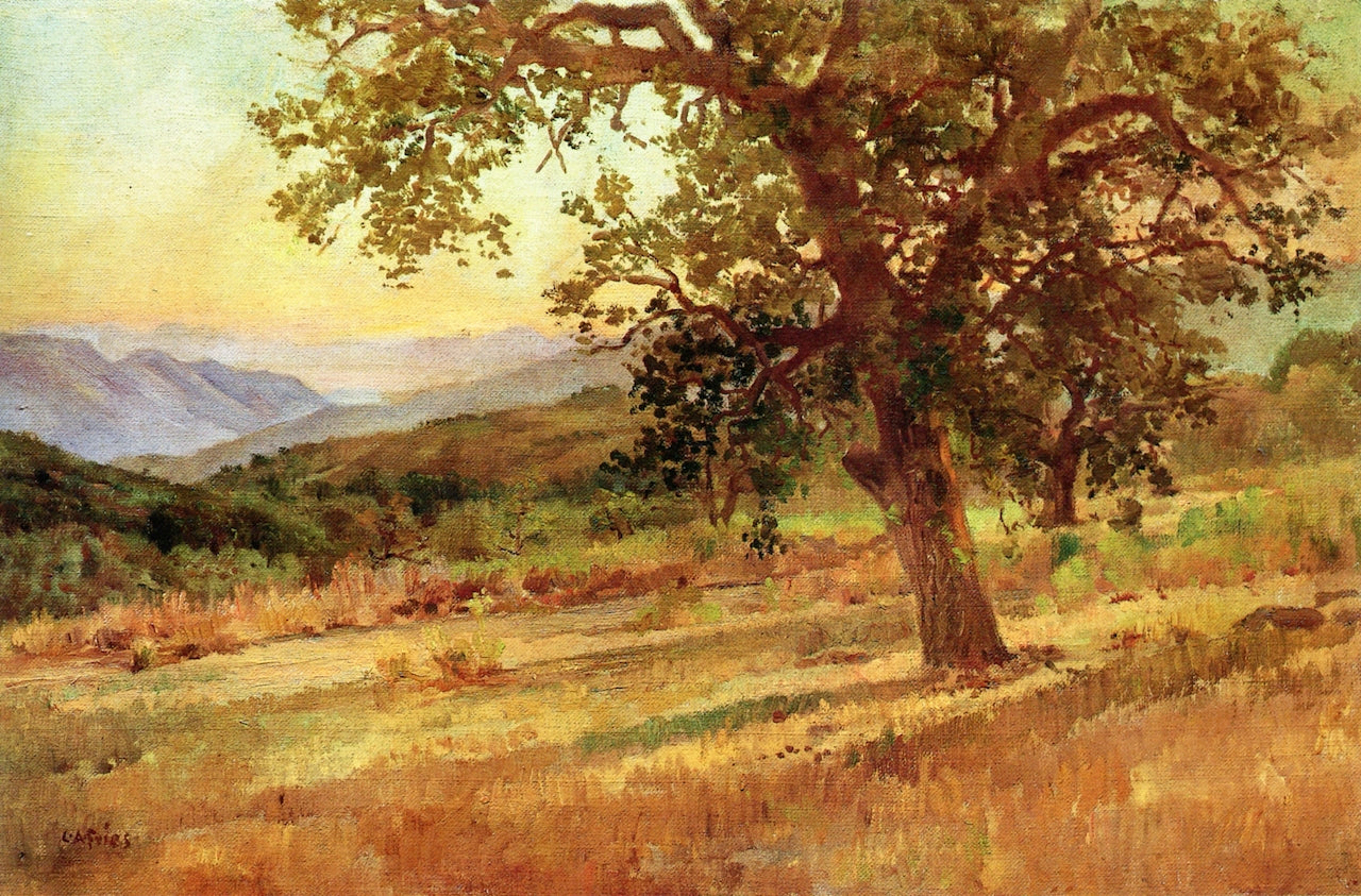 Evening from Mesa Grande, vintage artwork by Charles A. Fries, 12x8" (A4) Poster
