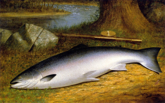 The Successful Catch, vintage artwork by Walter M. Brackett, 12x8" (A4) Poster