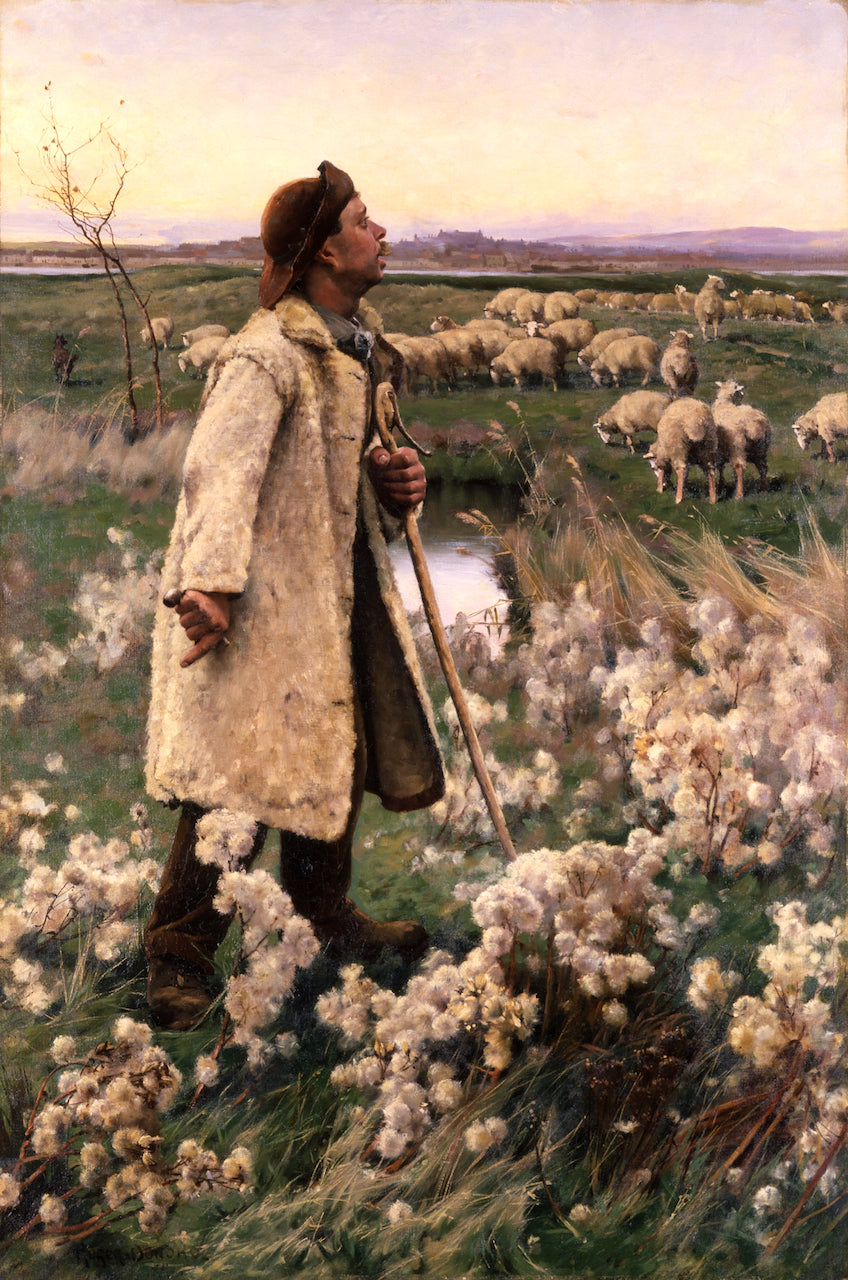 Shepherd, vintage artwork by Gaines Ruger Donoho, 12x8" (A4) Poster