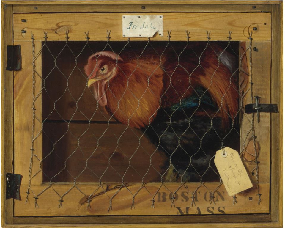 Rooster in Transit, vintage artwork by Alexander Pope, 12x8" (A4) Poster