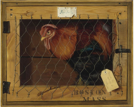 Rooster in Transit, vintage artwork by Alexander Pope, 12x8" (A4) Poster